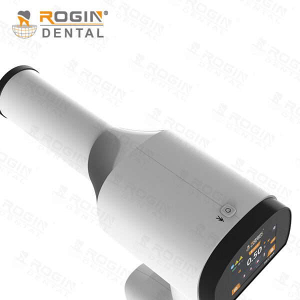 Elite Ray - Image 3
